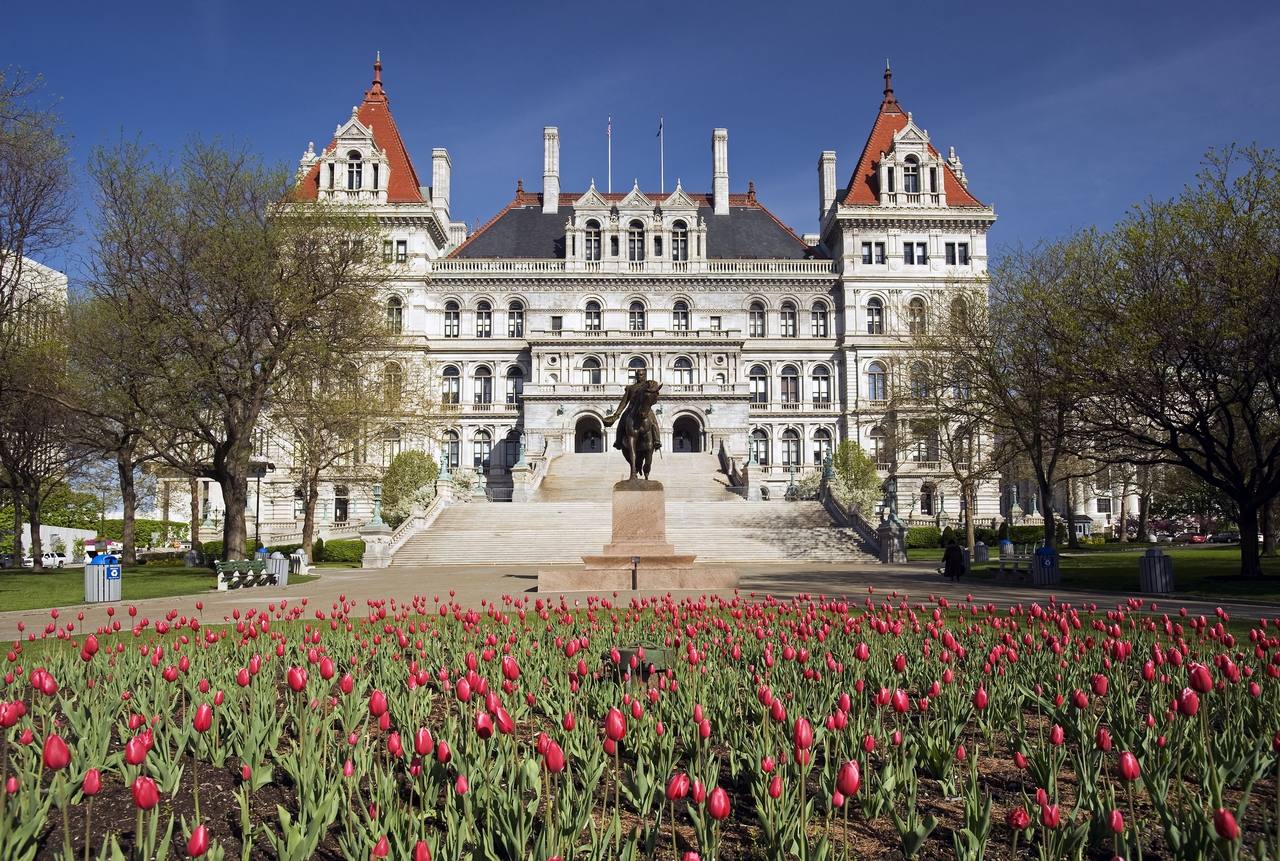 Photograph of the New York State Capitol building, with a field of red tulips in the foreground