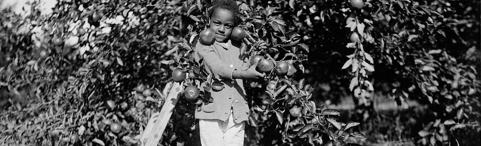 Child standing in front of apple tree